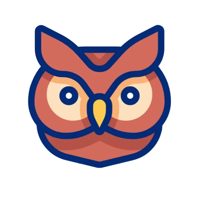 Ali Bokaiyan - The Owl