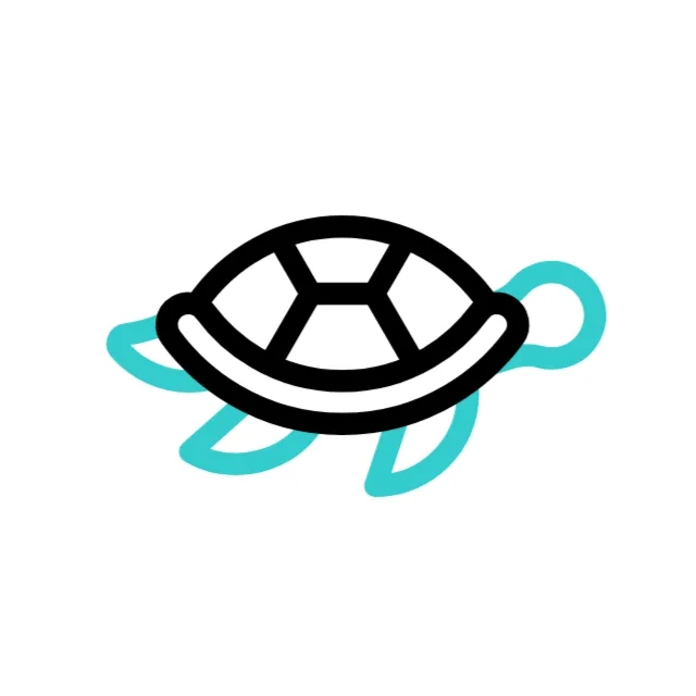 Ahmad Bokaiyan - The Speedy Turtle